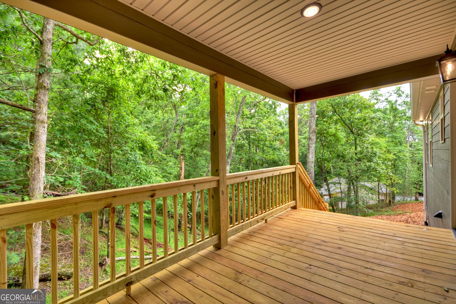 1046 Monticello Drive Ellijay - 9