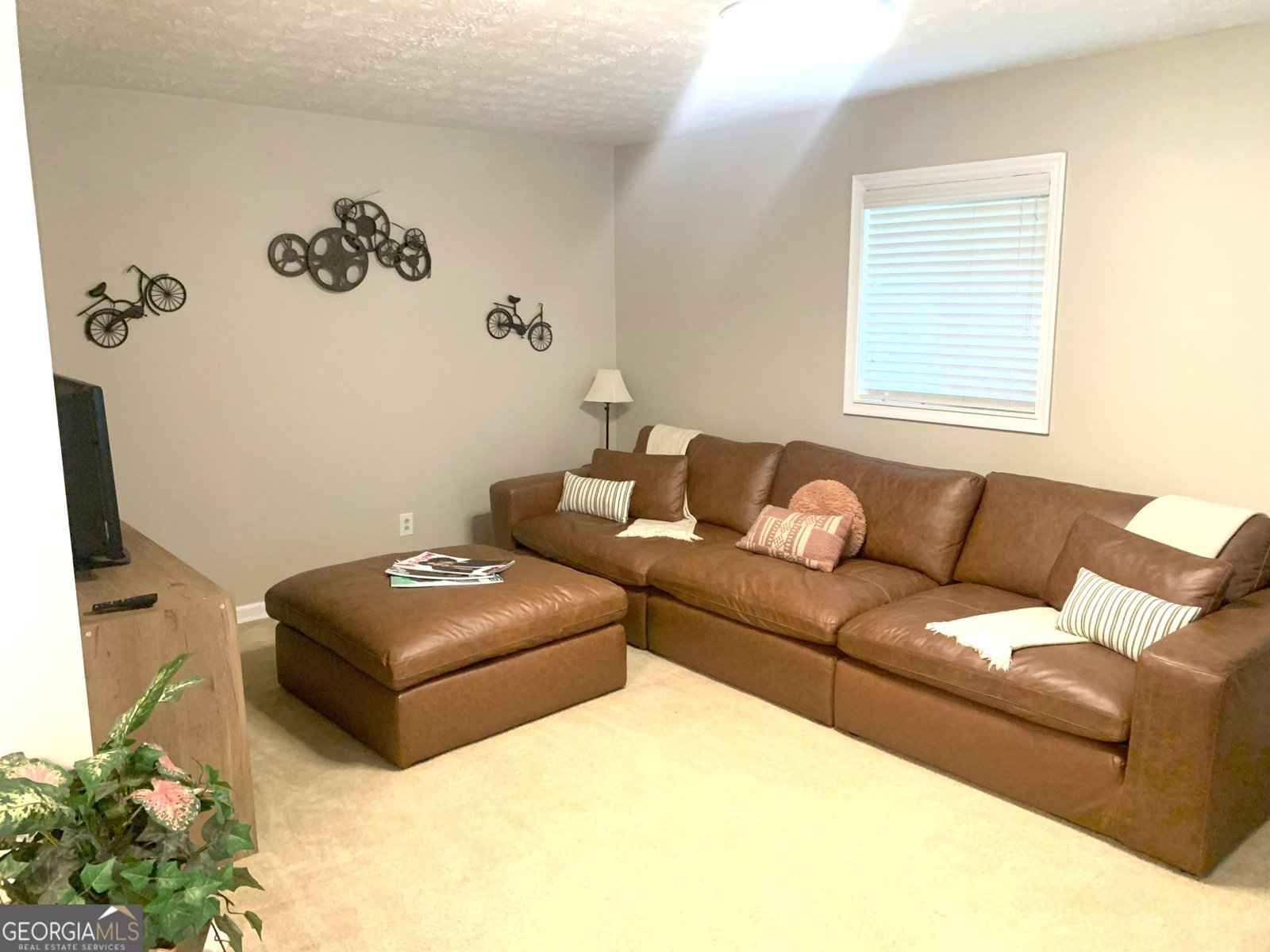 10178 Top Tree Court Jonesboro - 11