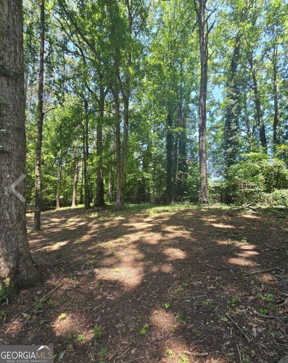 10178 Top Tree Court Jonesboro - 20