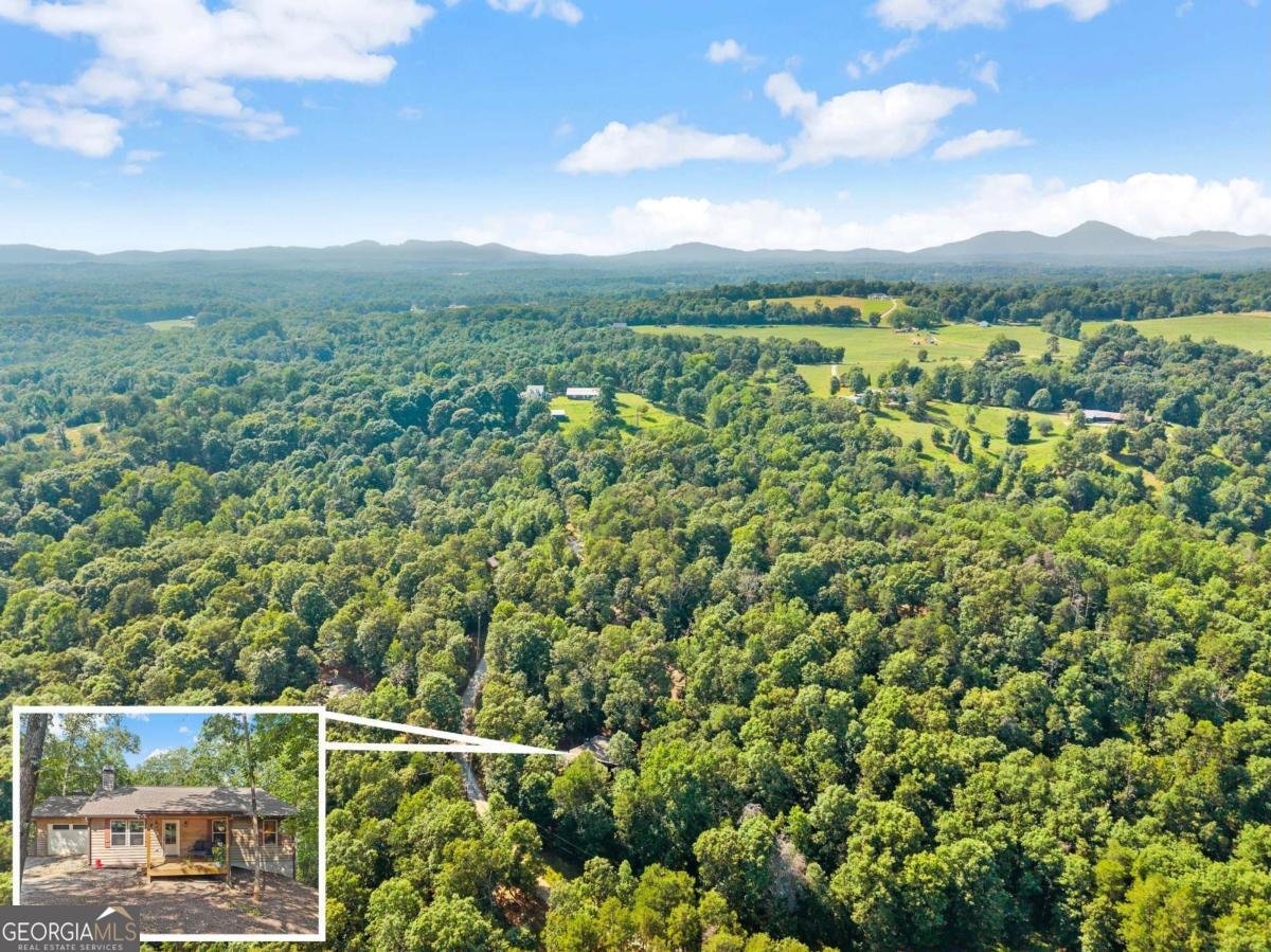 309 Fowler Creek Drive Cleveland - 16