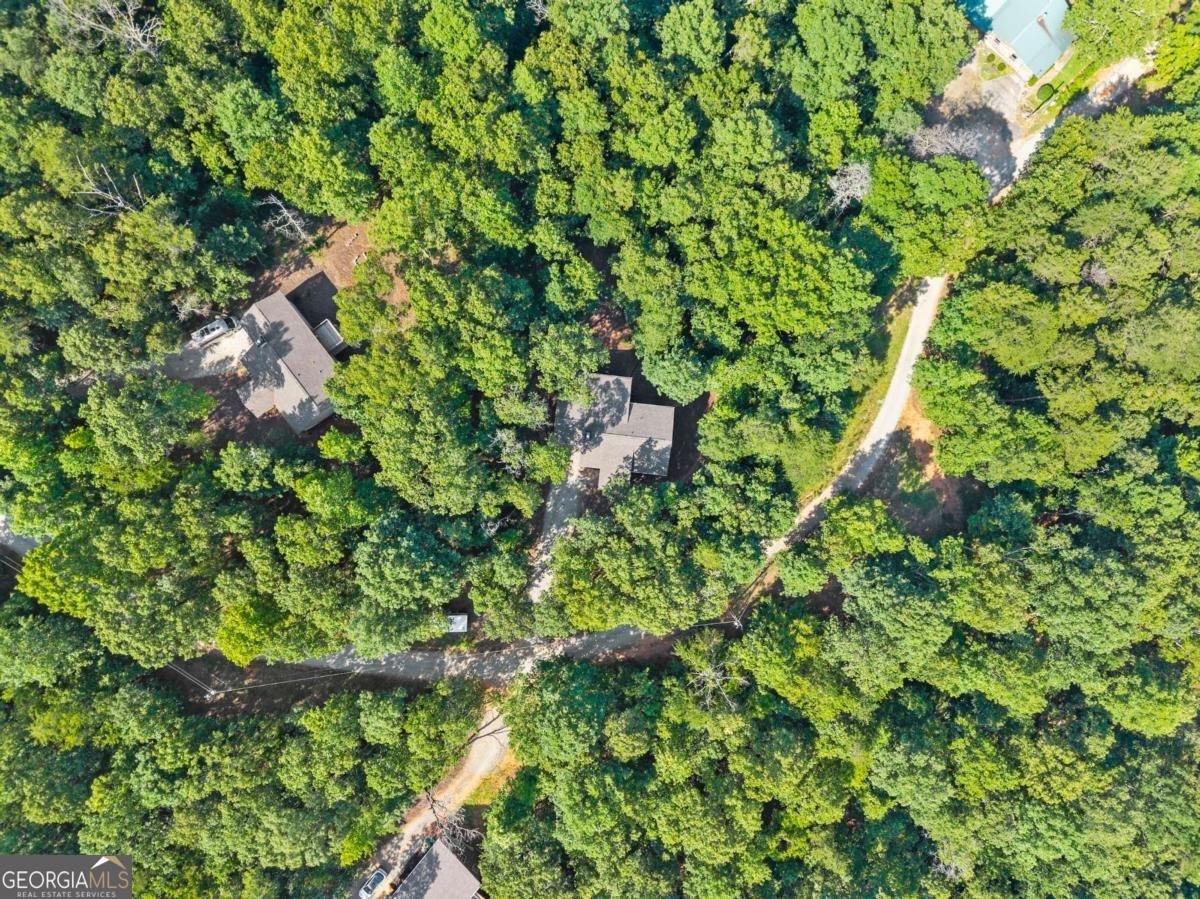 309 Fowler Creek Drive Cleveland - 40