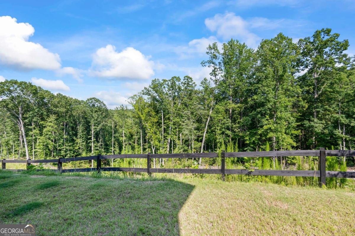 2942 Salinger Way Gainesville - 37