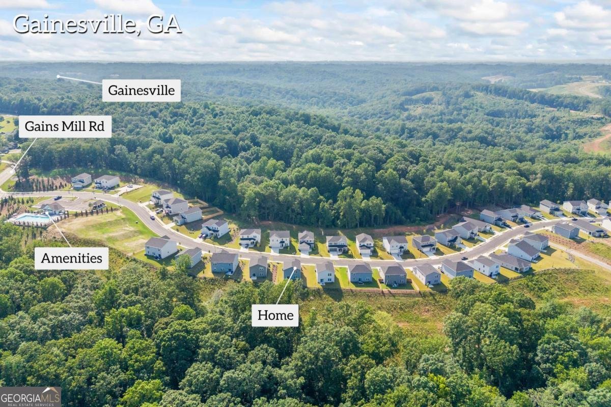 2942 Salinger Way Gainesville - 47