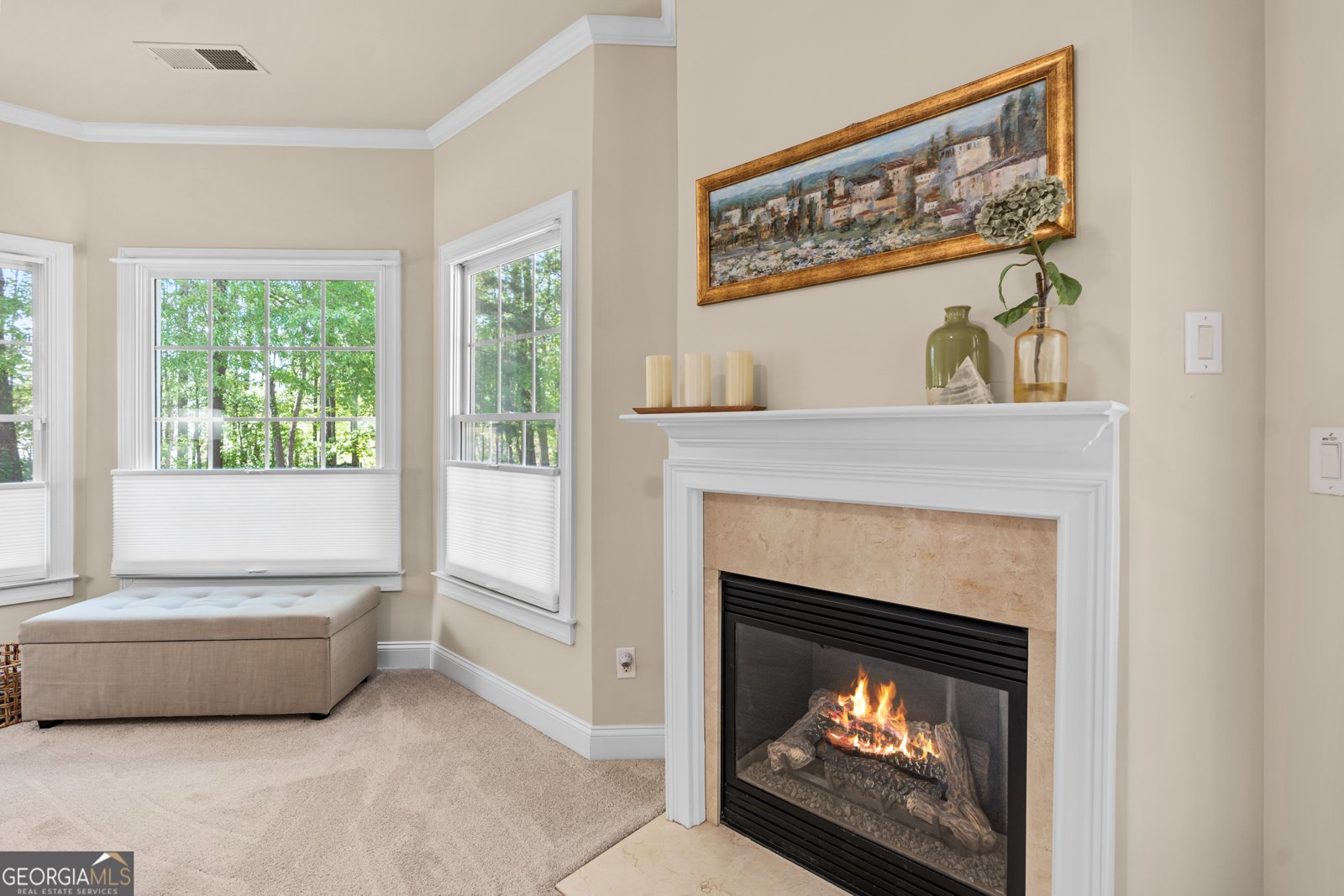 195 Tana Drive Fayetteville - 10