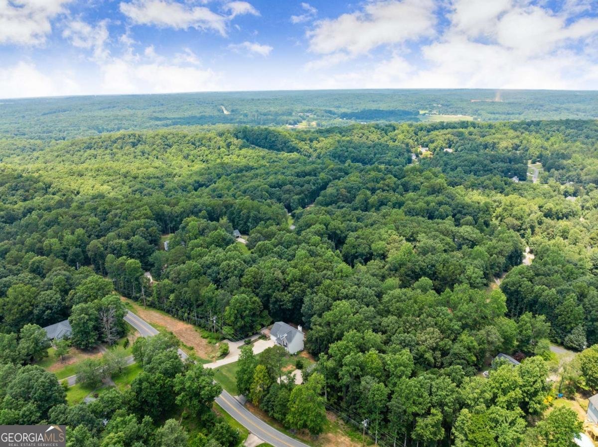 2235 Grizzle Road Dawsonville - 10