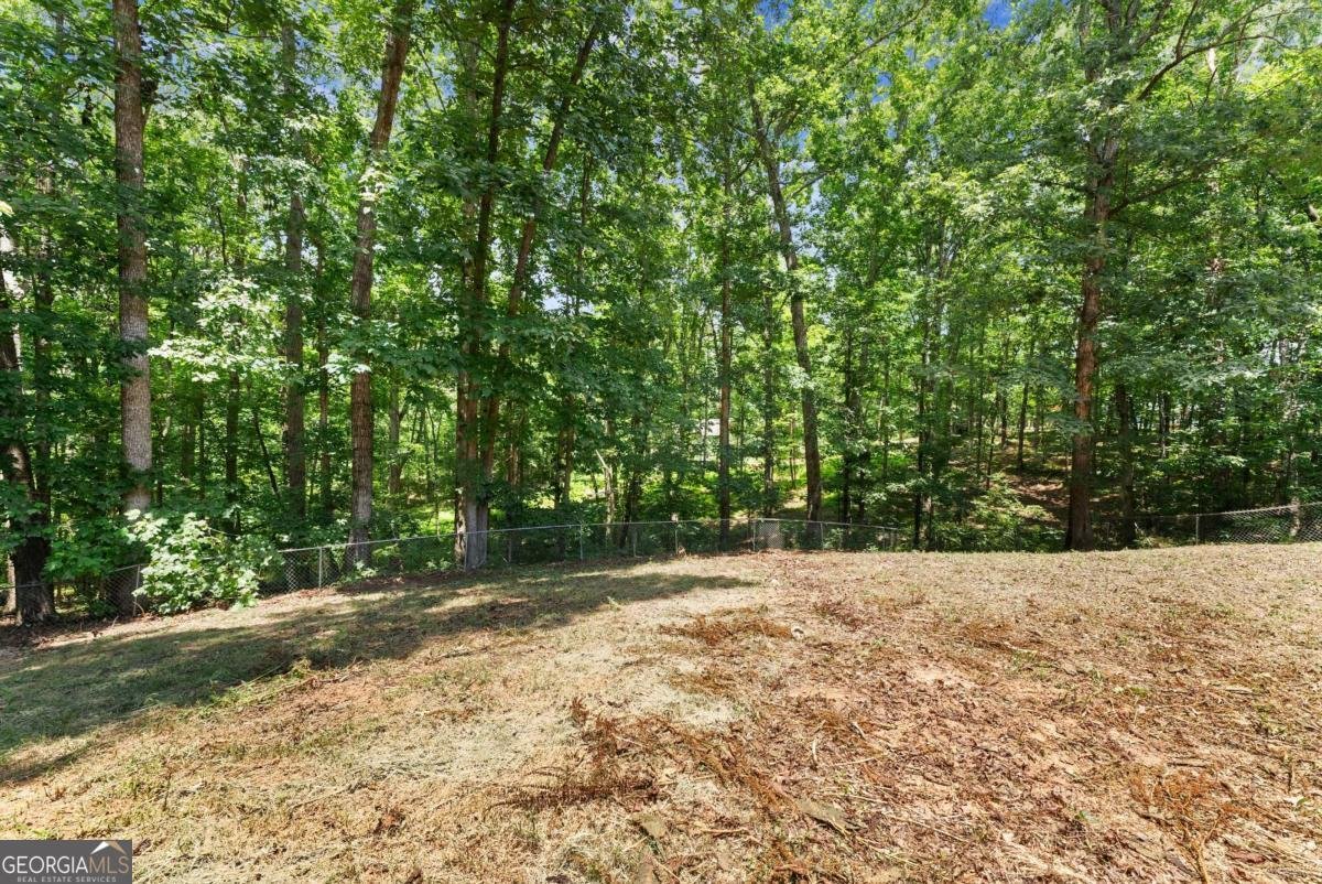 2235 Grizzle Road Dawsonville - 7