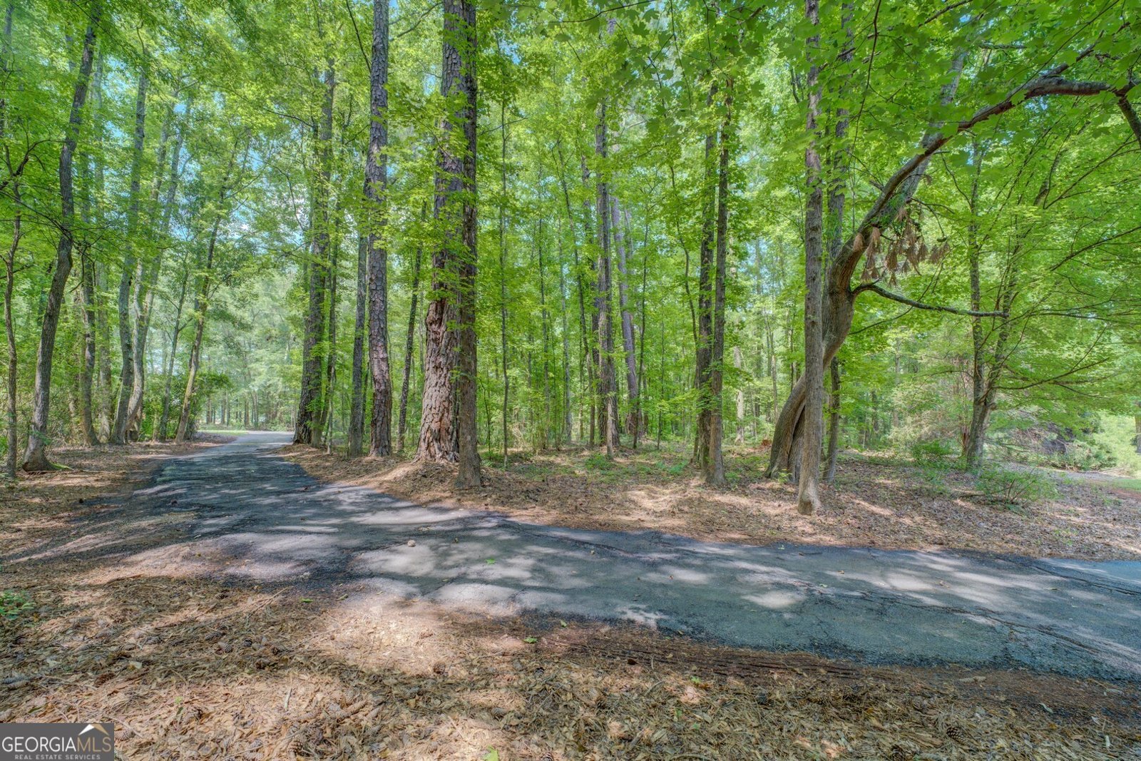 2400 White Pine Lane Mansfield - 4