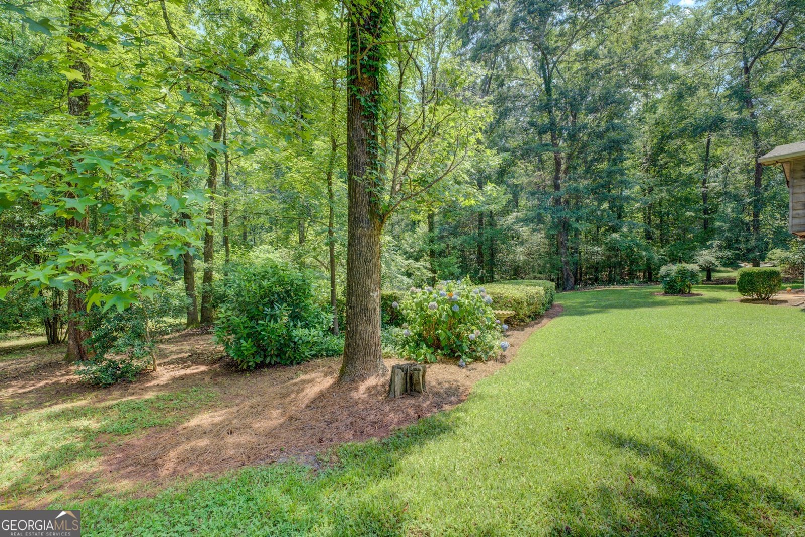 2400 White Pine Lane Mansfield - 6