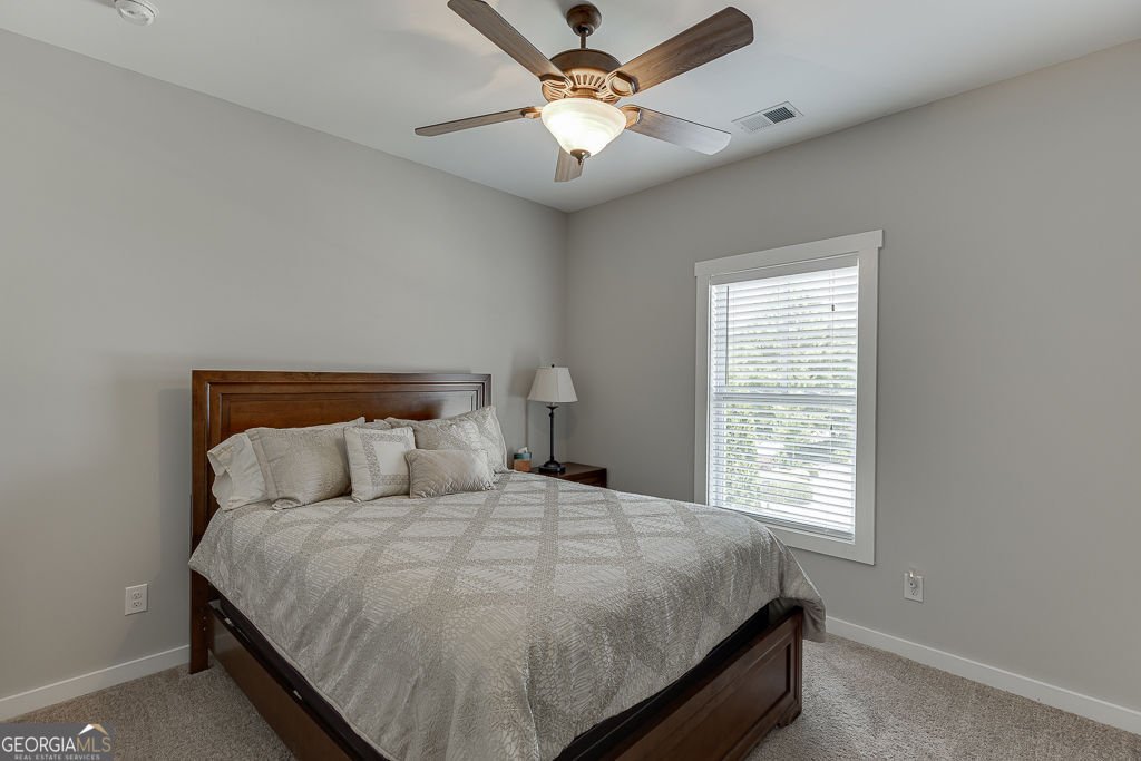 6317 Cedar Springs Lane Hoschton - 26