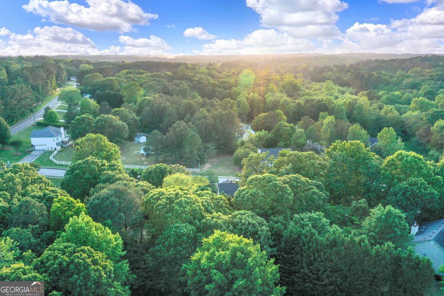 1784 Virginia Grove Lane Lawrenceville - 46