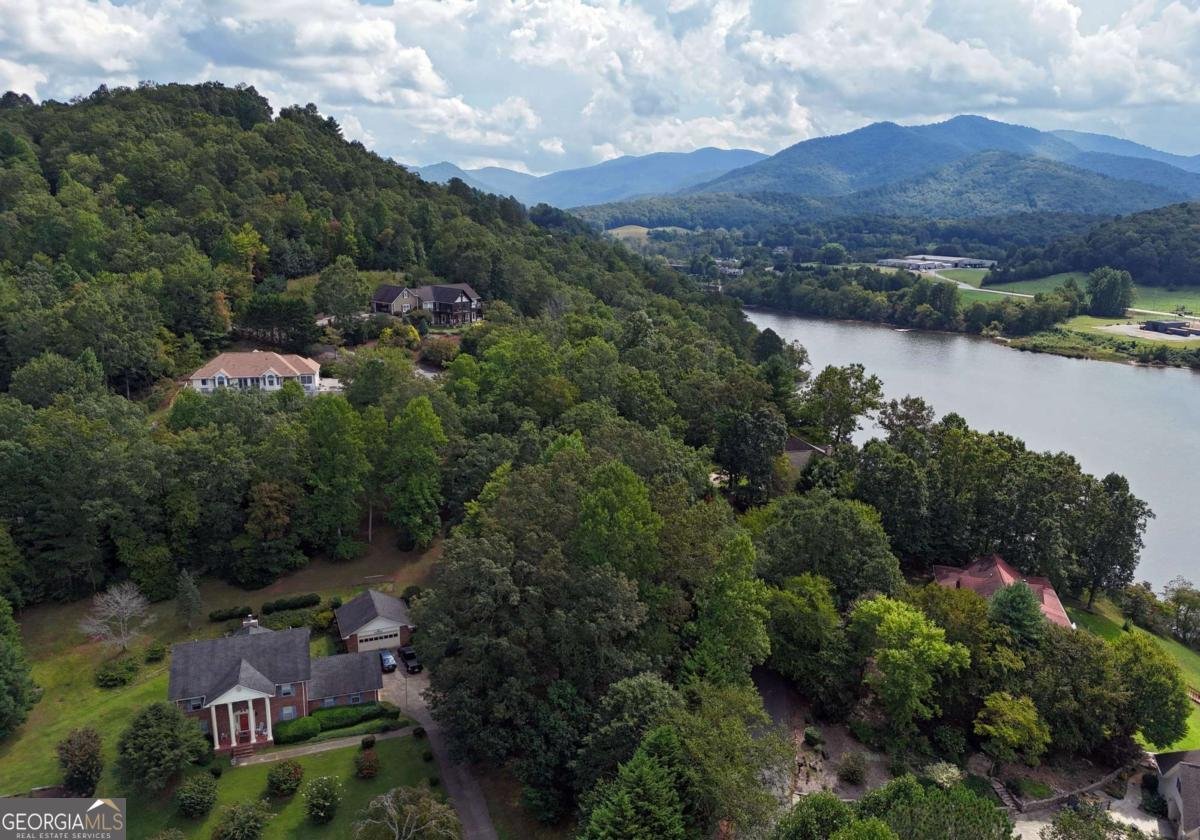 1701 Victoria Woods Drive Hiawassee - 4