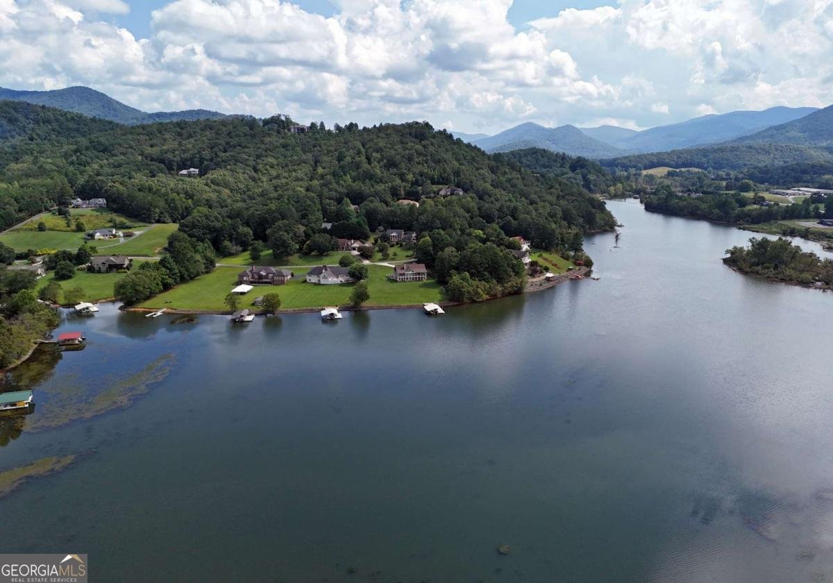 1701 Victoria Woods Drive Hiawassee - 5