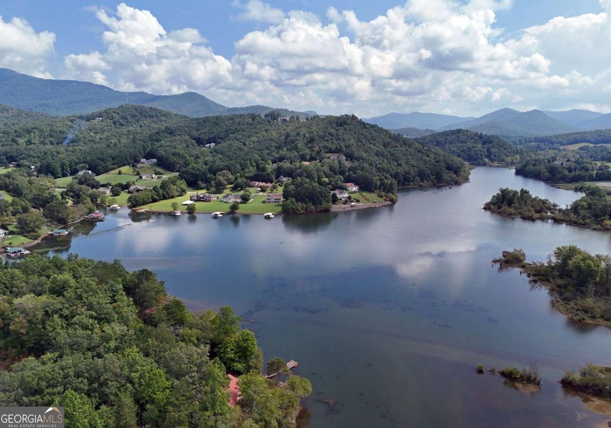 1701 Victoria Woods Drive Hiawassee - 6