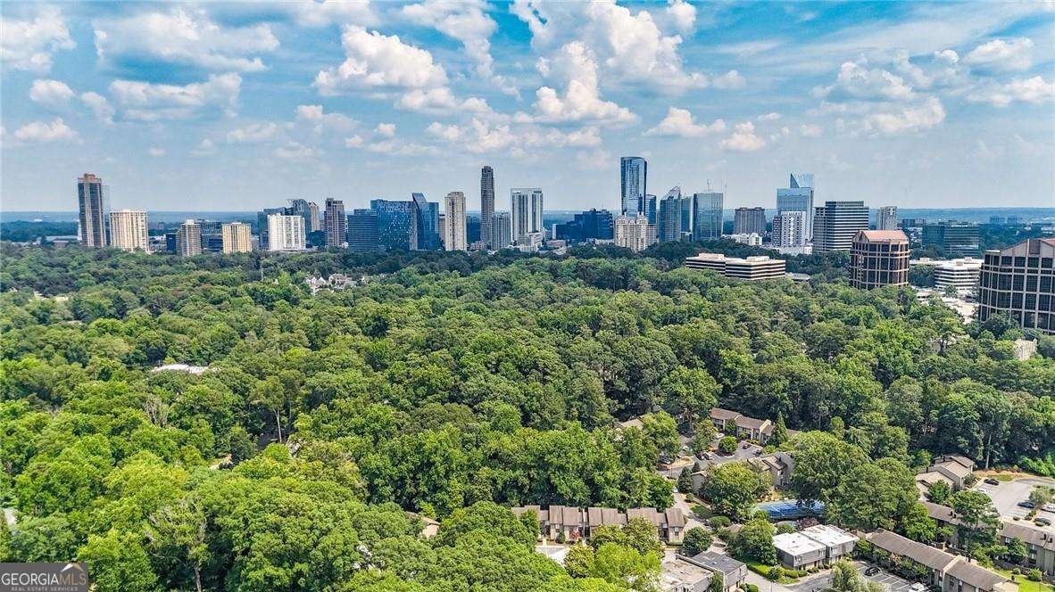 12 Ivy Ridge Atlanta - 45