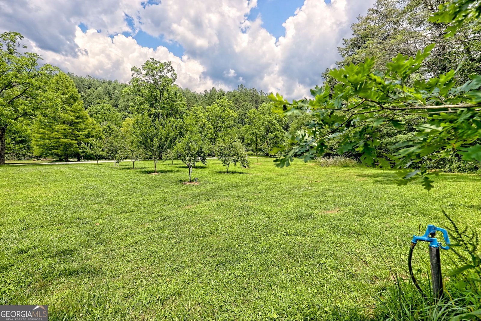 533 Ledford Rd. Dillard - 11