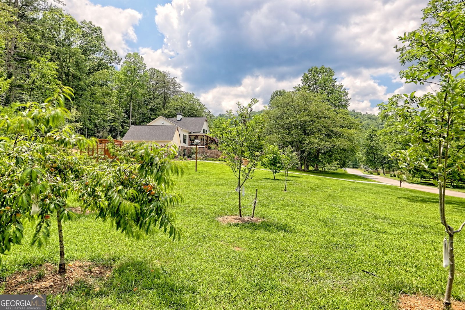 533 Ledford Rd. Dillard - 13