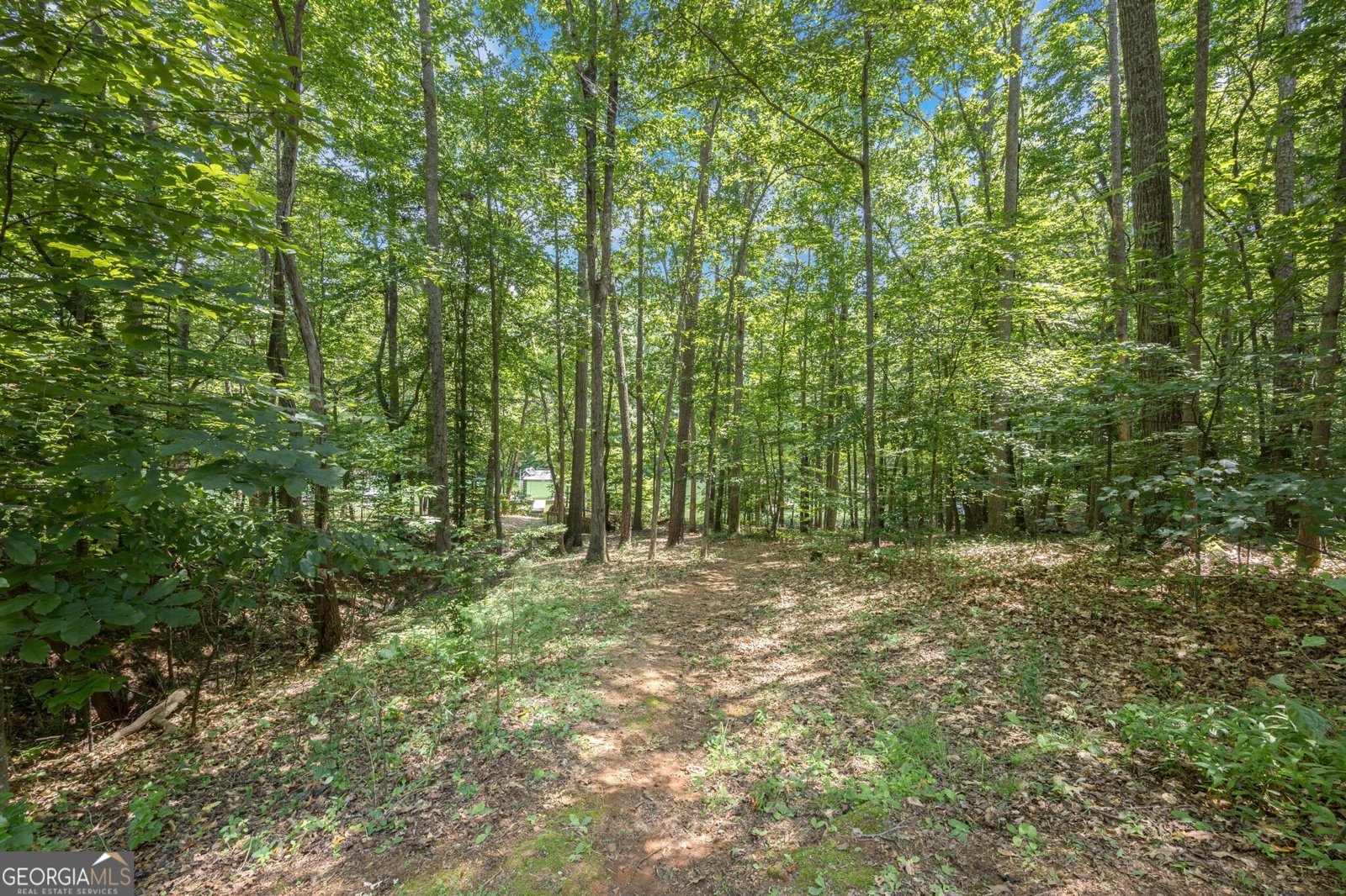 7105 Haw Creek Place Gainesville - 29