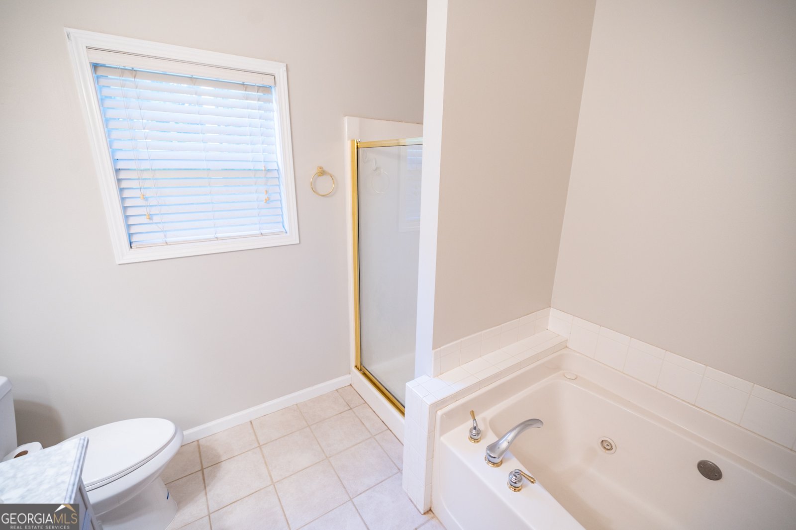 609 Alyssa Court Locust Grove - 19