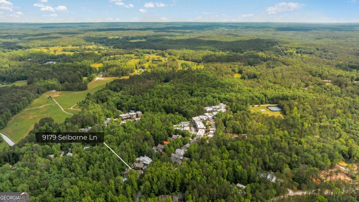 9179 Selborne Lane Chattahoochee Hills - 49