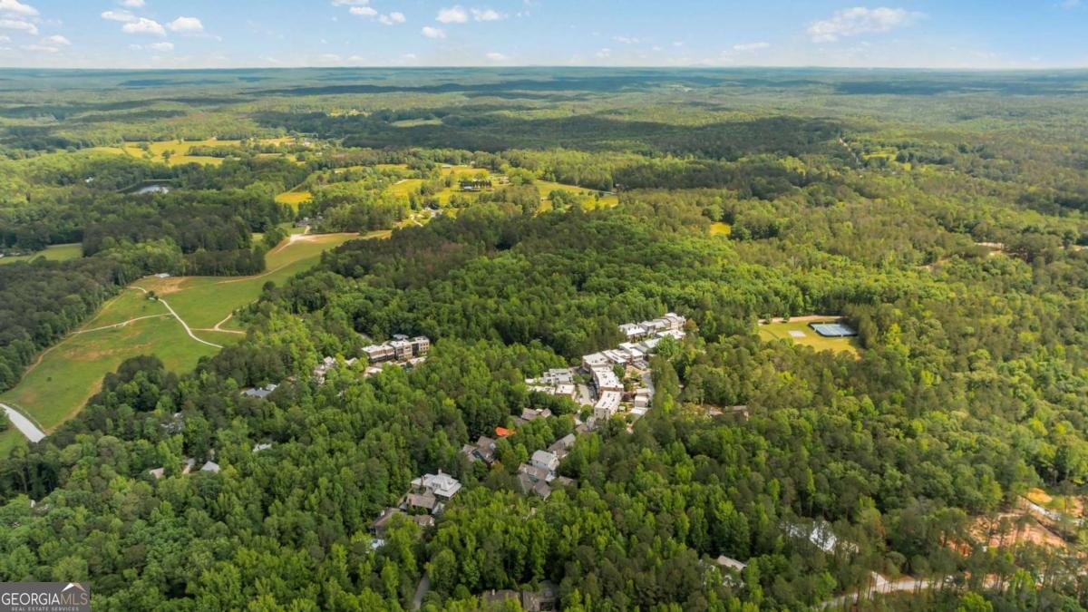 9179 Selborne Lane Chattahoochee Hills - 50