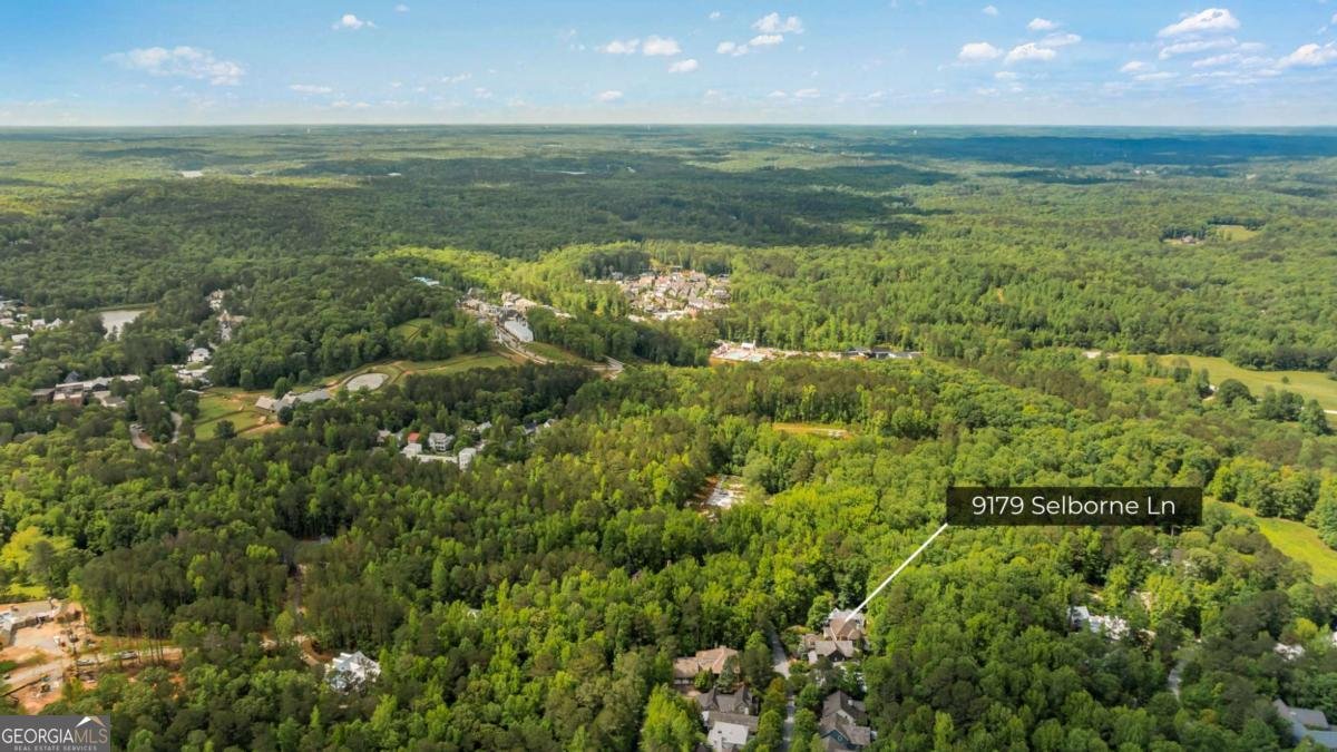 9179 Selborne Lane Chattahoochee Hills - 51