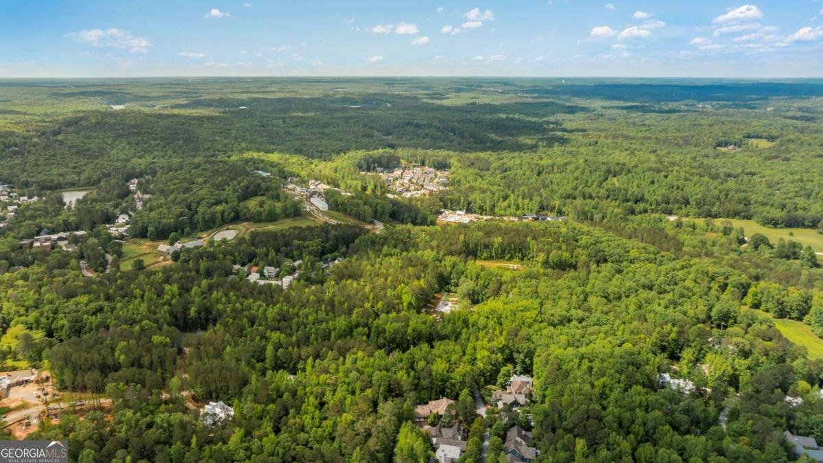 9179 Selborne Lane Chattahoochee Hills - 52