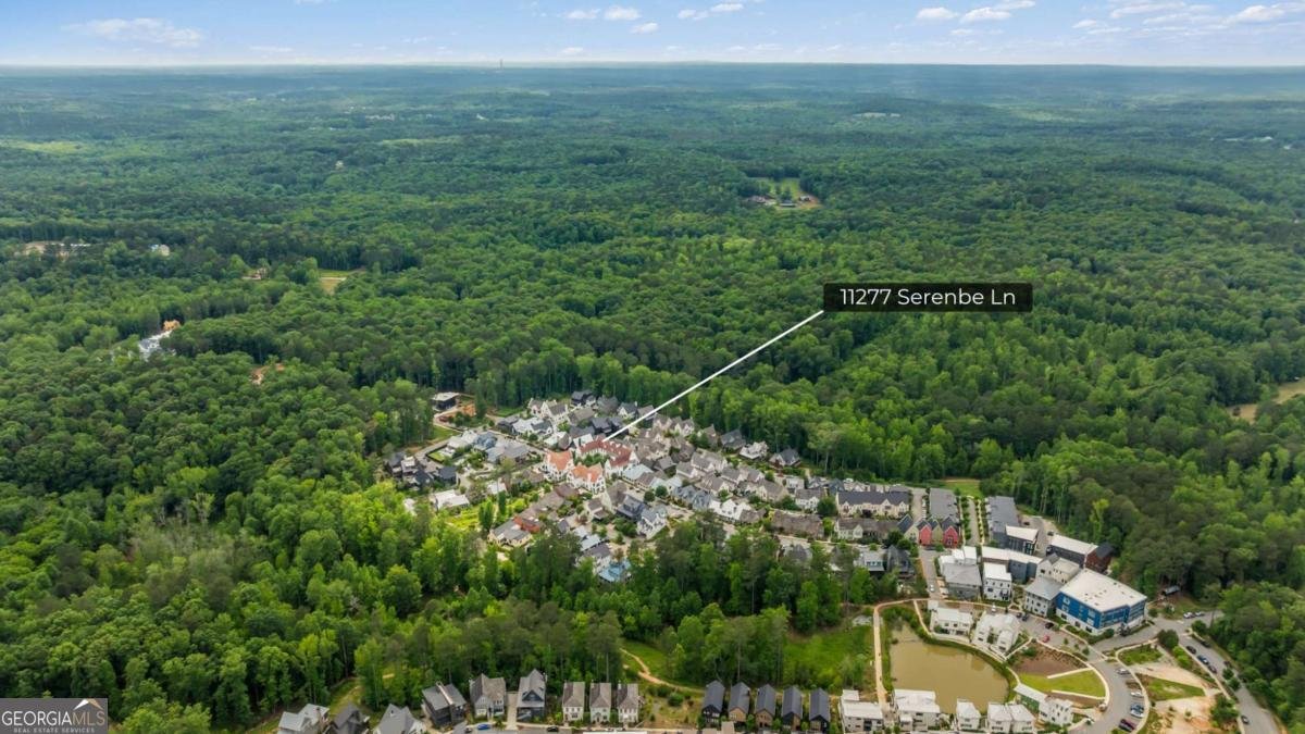 11277 Serenbe Lane Chattahoochee Hills - 53