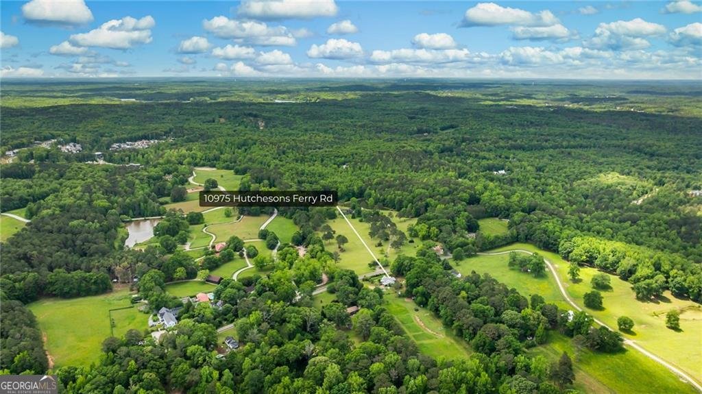 10975 Hutcheson Ferry Road Chattahoochee Hills - 46