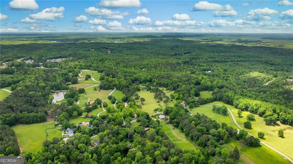10975 Hutcheson Ferry Road Chattahoochee Hills - 47