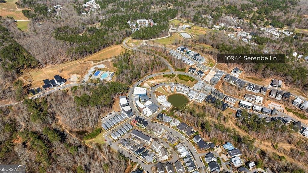 10944 Serenbe Lane Chattahoochee Hills - 49