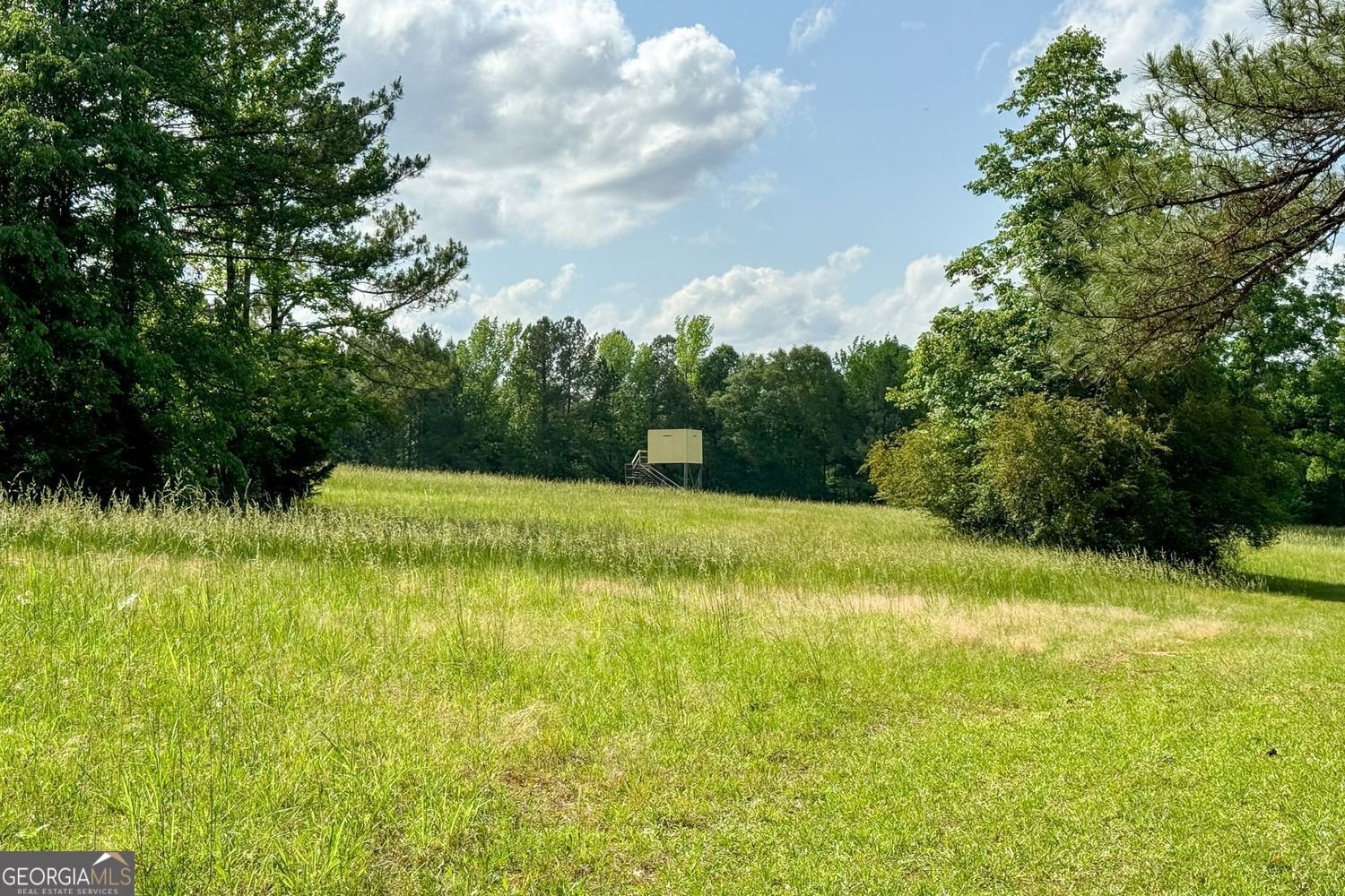8272 Old Zebulon Road Molena - 23