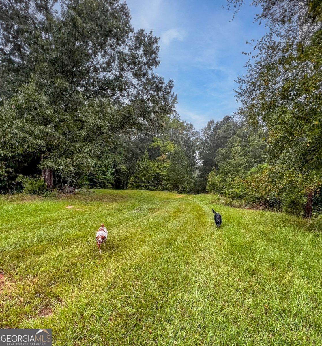8272 Old Zebulon Road Molena - 39