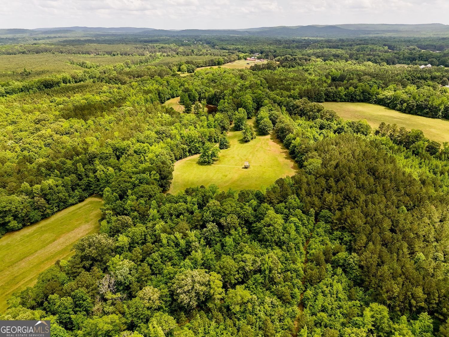 8272 Old Zebulon Road Molena - 59
