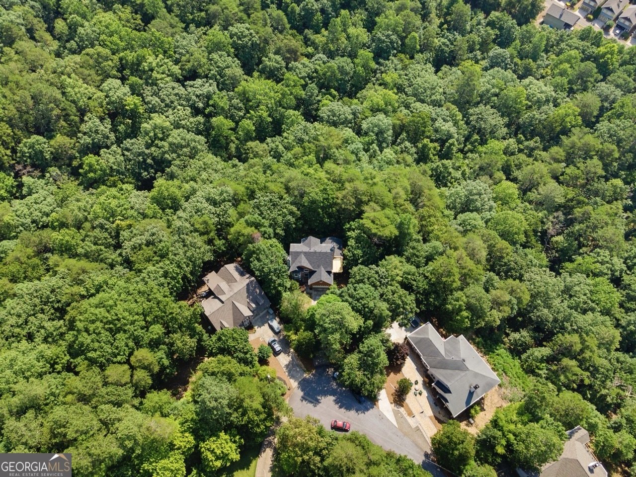 184 Corner Oak Court Waleska - 50