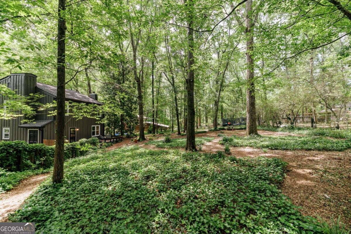 115 Hight Drive Watkinsville - 43