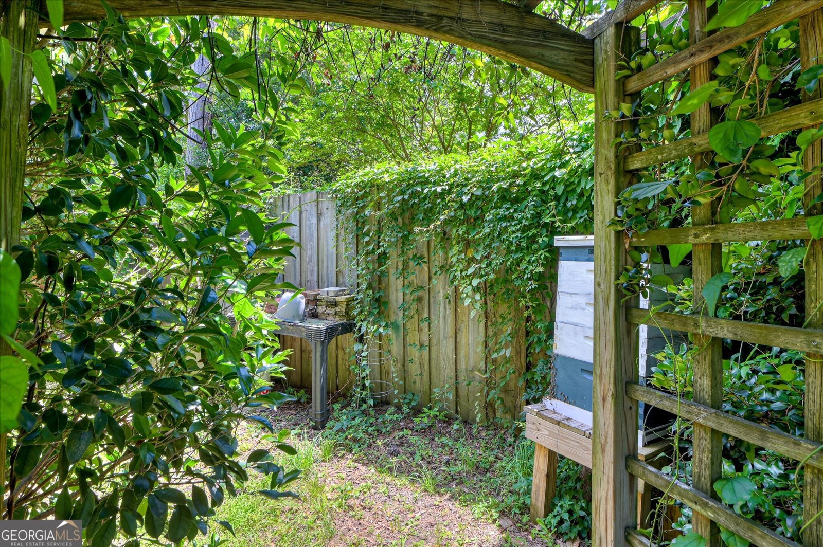 215 Barnard Avenue Aiken - 8