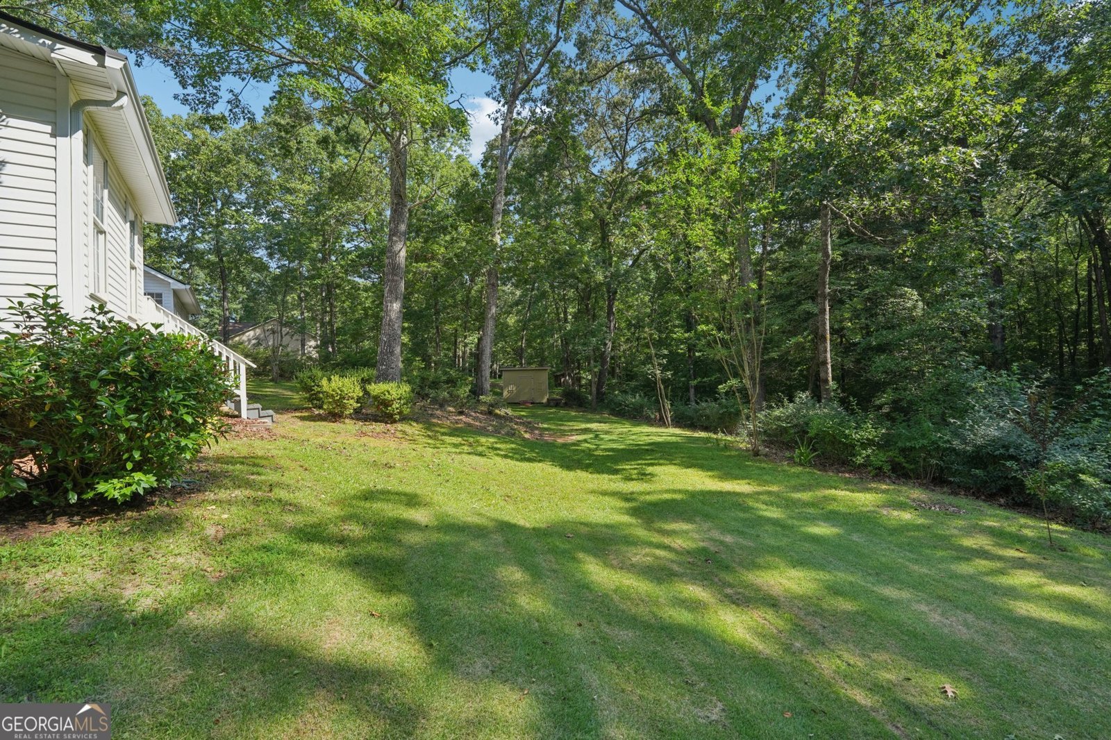 2963 Gordon Road Senoia - 28