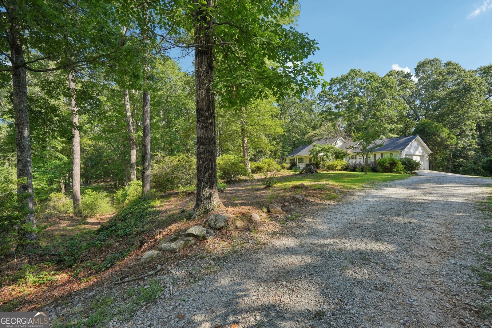 2963 Gordon Road Senoia - 3