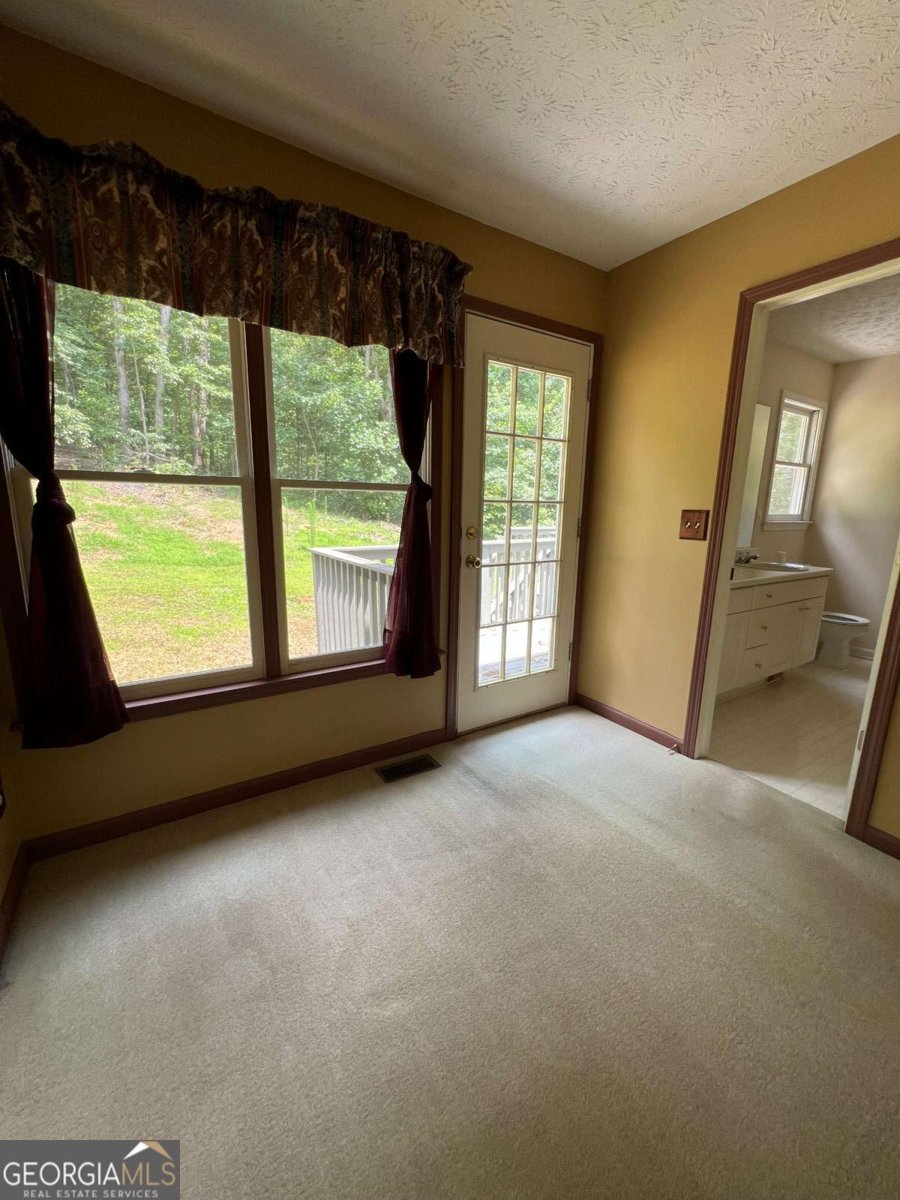 11 SEABREEZE Way Dawsonville - 17