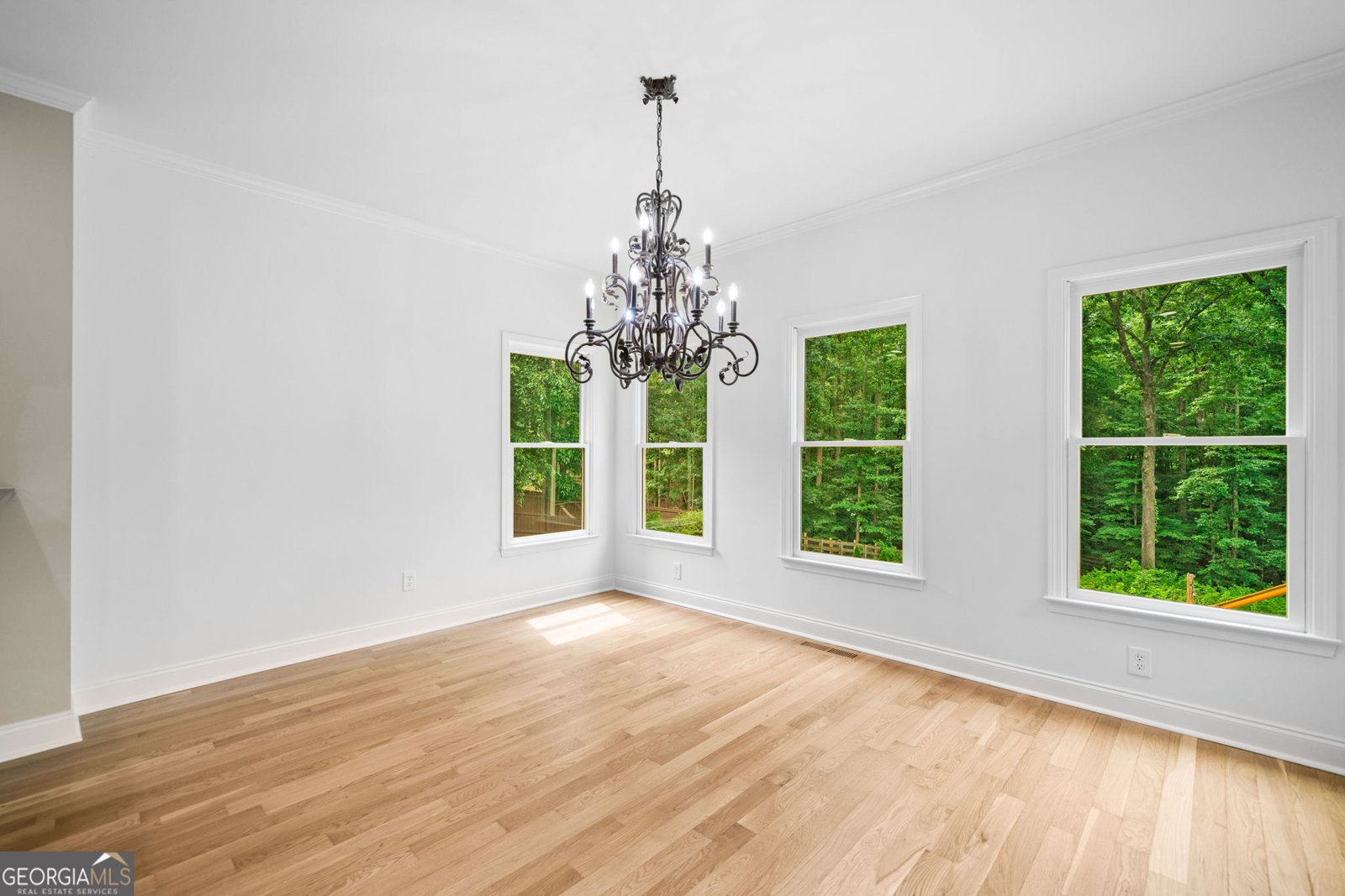 217 Heritage Town Parkway Canton - 12