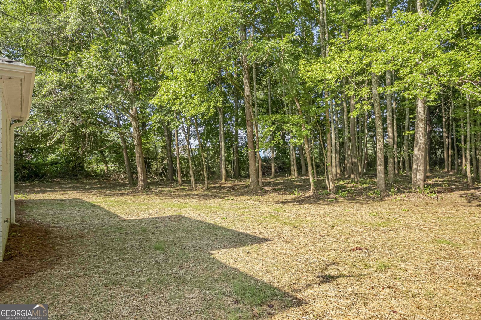 1834 Stroud Road Mcdonough - 4