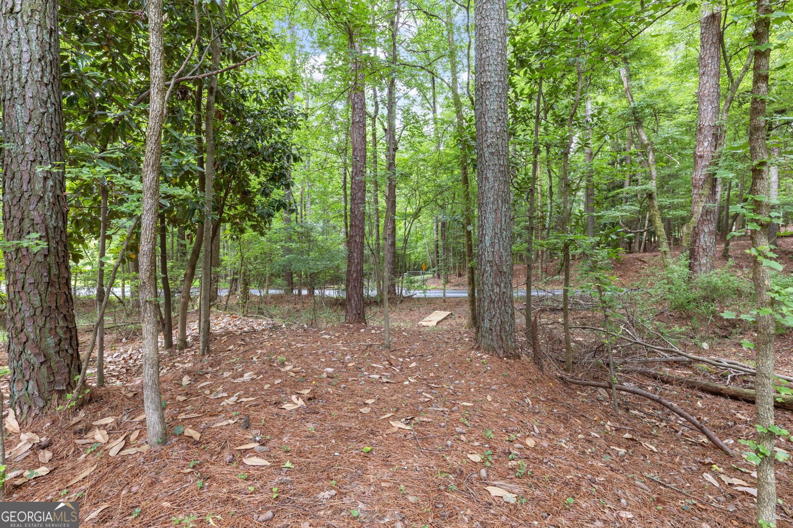 4847 Lakewood Drive Acworth - 72