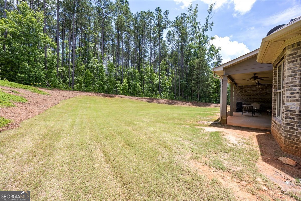 62 Mallie Drive Forsyth - 23