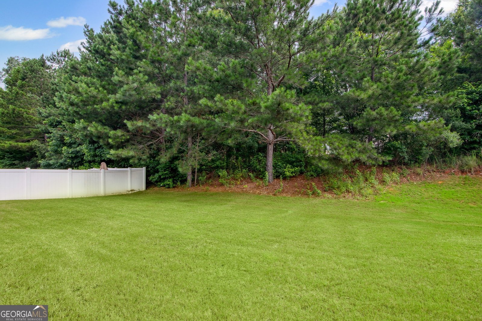 115 Court Crossing Locust Grove - 34