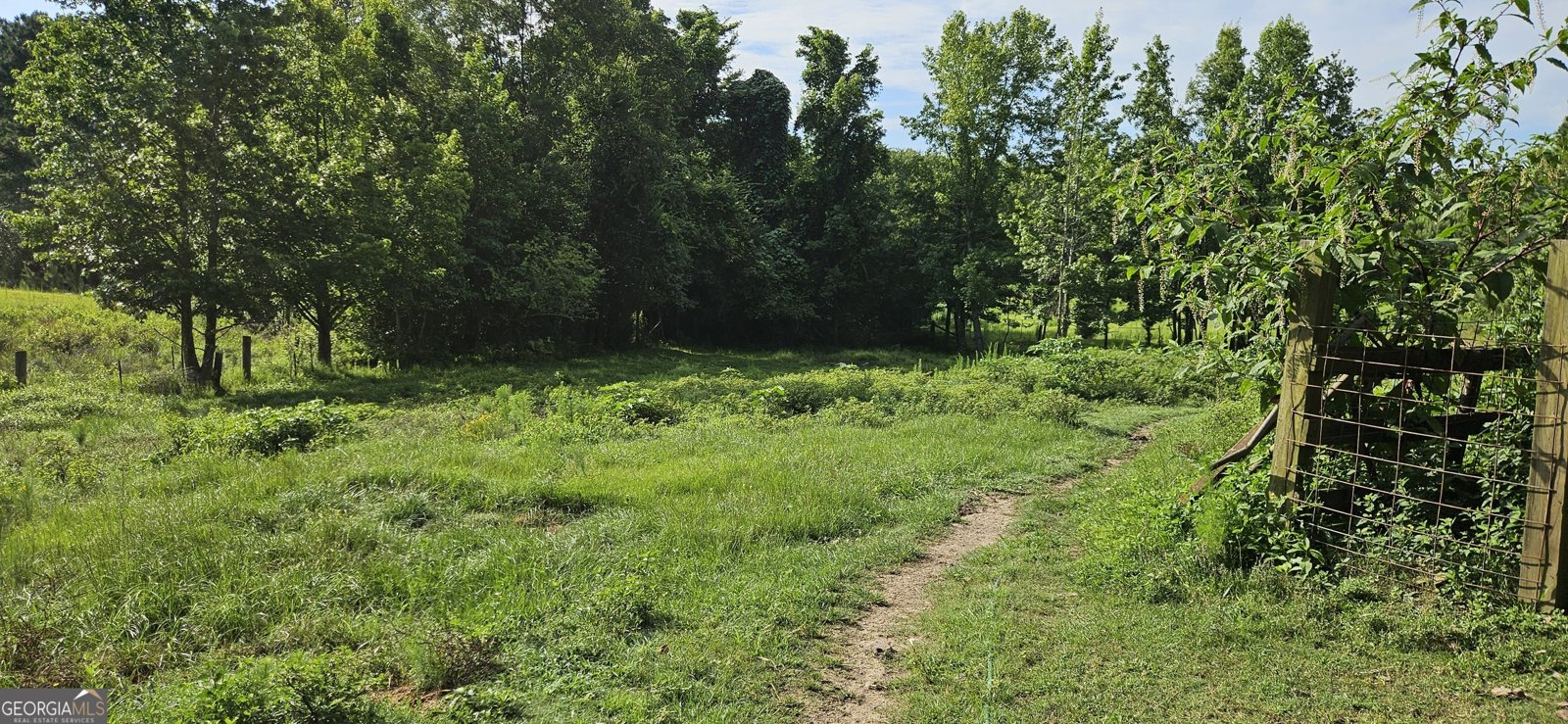 2345 Rose Hill Road Meansville - 10