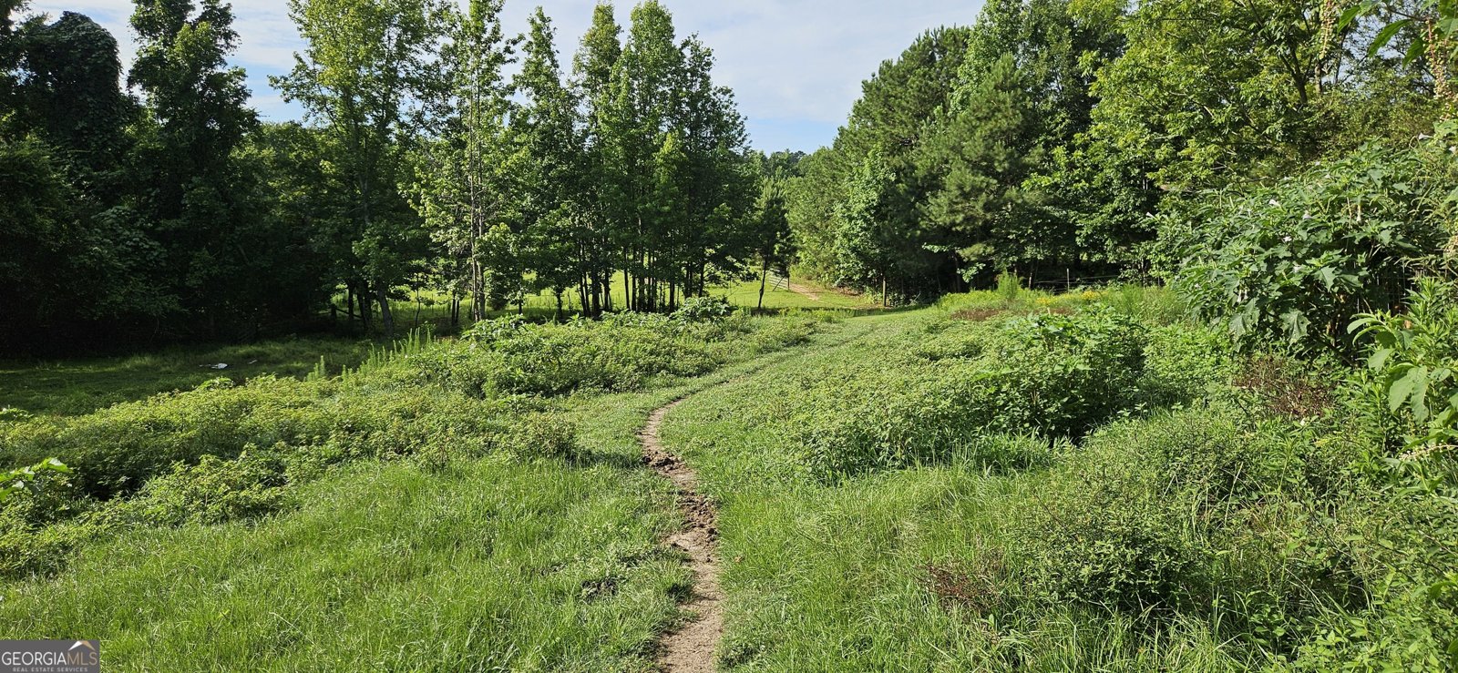 2345 Rose Hill Road Meansville - 11