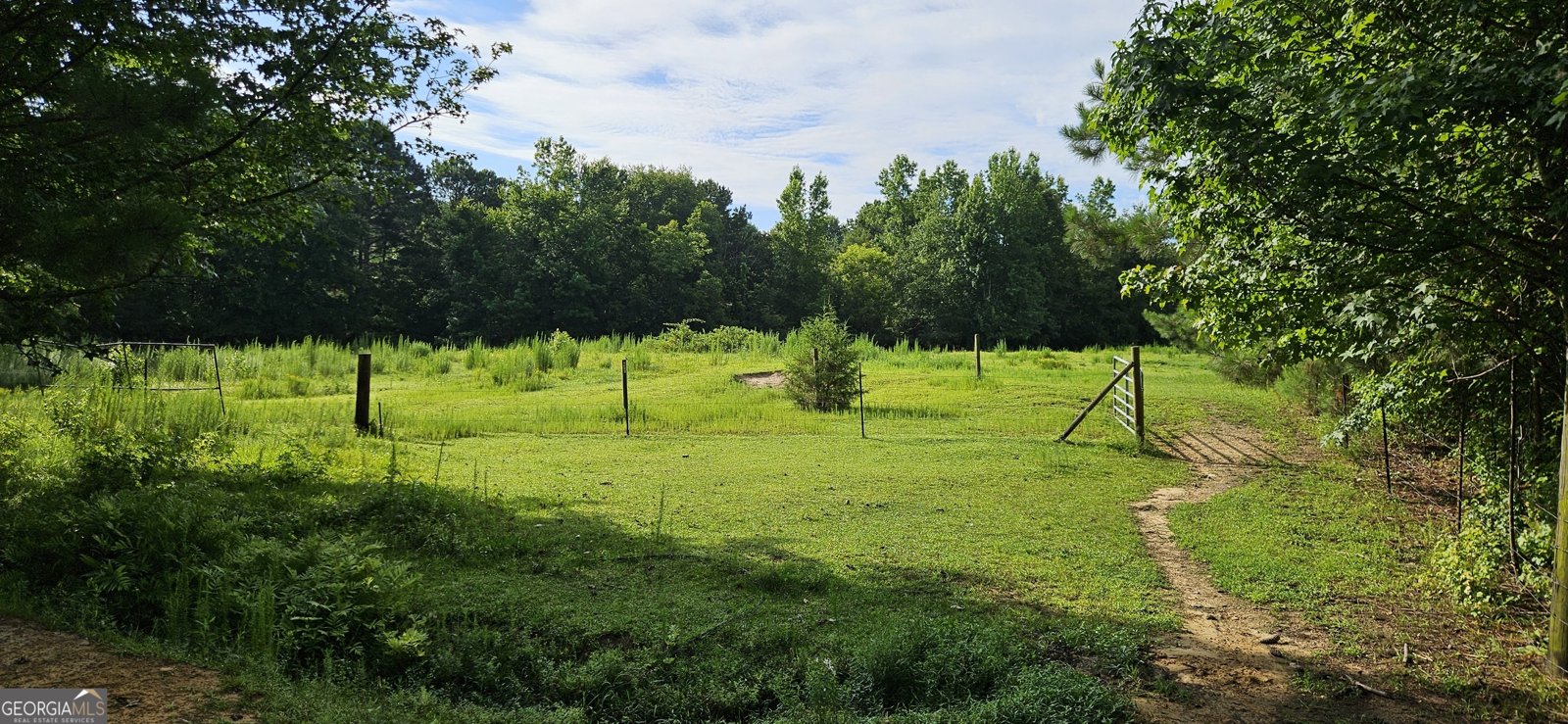 2345 Rose Hill Road Meansville - 12