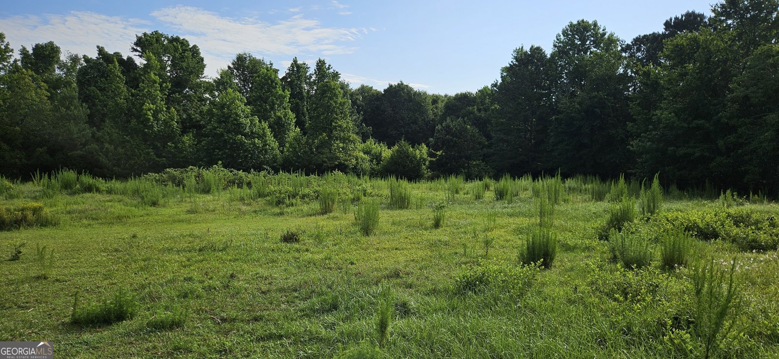 2345 Rose Hill Road Meansville - 13