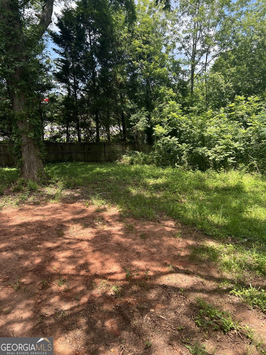 10591 Flat Shoals Road Covington - 18