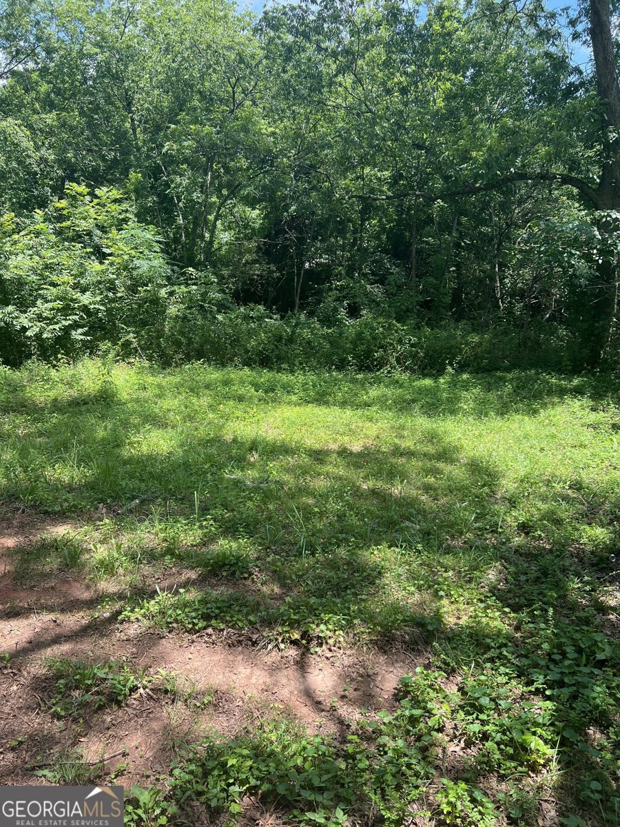 10591 Flat Shoals Road Covington - 19